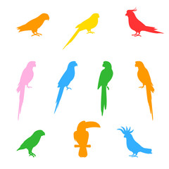 Silhouettes of birds and parrots.