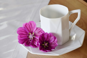 herbal tea - common mallow (herbal tea) / ハーブティー：コモンマロウ