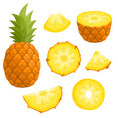 Bright vector set of fresh pineapple isolated on white - 198460610