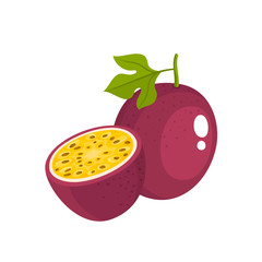 Bright vector illustration of fresh passion fruit isolated on white