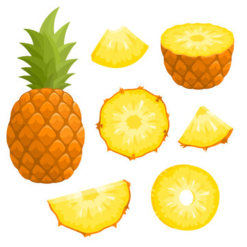 Bright vector set of fresh pineapple isolated on white