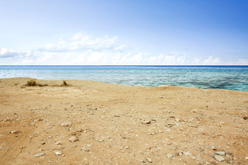 sea coast background 