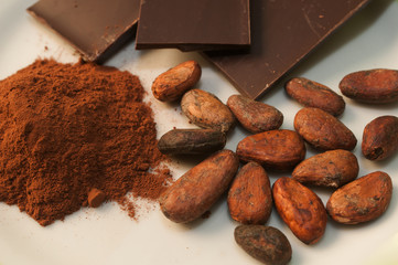 Chocolate beans and bars