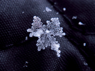 Snowflake beautifull on the colorful background macro