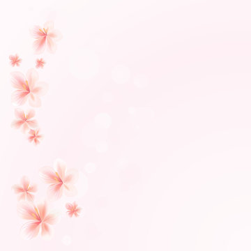 Sakura flowers on Pink bokeh background. Apple-tree flowers. Cherry blossom. Vector