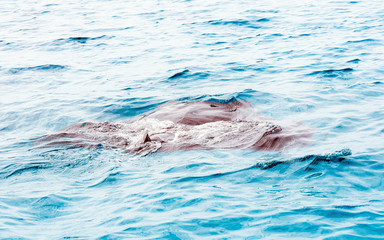 Obraz premium Ramp on the surface of water, Male, Republic of Maldives. Close-up.