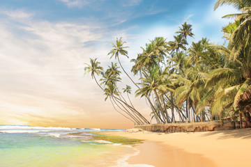 Beautiful view of the tropical beach of Sri Lanka on a sunny day