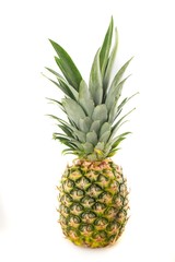 Fototapeta premium Fresh whole pineapple