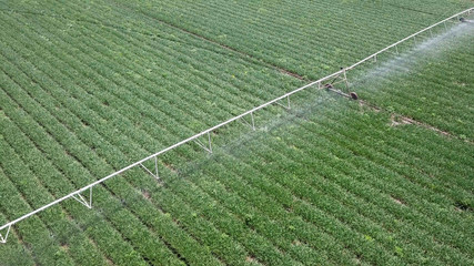 Irrigation system at work - Aerial image. Irrigation is the application of controlled amounts of water at needed intervals
