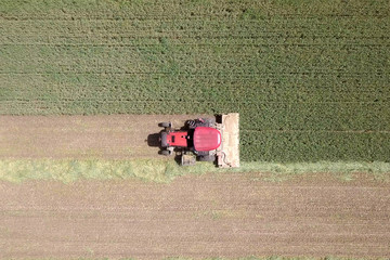 Fototapeta na wymiar Aerial image of a Red Combine harvester harvest a green wheat field