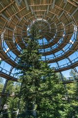 Baumturm im Nationalparkzentrum Lusen im Bayerischen Wald