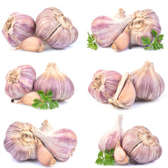 Garlic on a white background