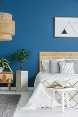 Plant in blue bedroom interior