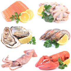 Seafood on a white background