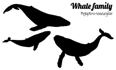 The family of humpback whales with their calf. Megaptera novaeangliae. Vector. Silhouette.