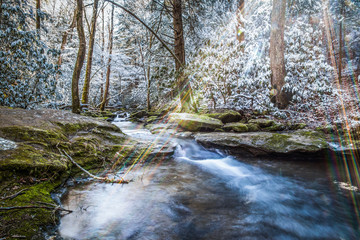 Sunlight and River