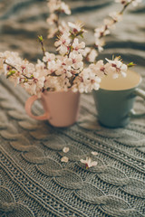 cup of tea with spring flower cherry blossom on a wool plaid background. Vintage style
