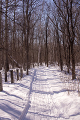 snow path