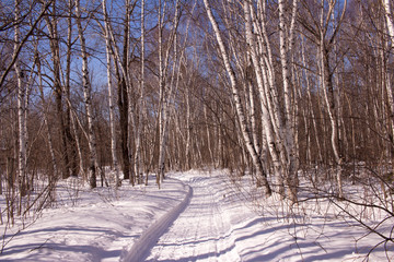 snow path