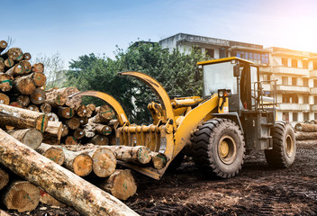 Forklift truck grabs wood in a wood processing plant