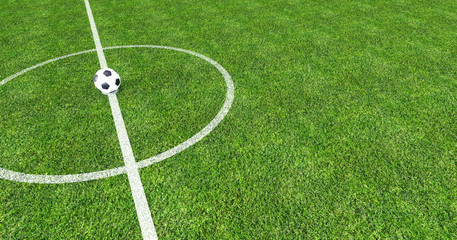 Football field with soccer ball in the center 3D Rendering © hd3dsh