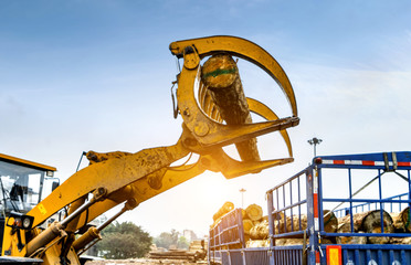 Forklift truck grabs wood in a wood processing plant