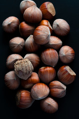 Dry brown hazel nuts background pattern. Close-up Texture.