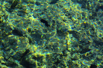 Multicolored beautiful red sea fish over the thickness of the water on a blurred background of coral reefs and yellow sand. Sharm el-Sheikh, Egypt, screensaver, wallpaper