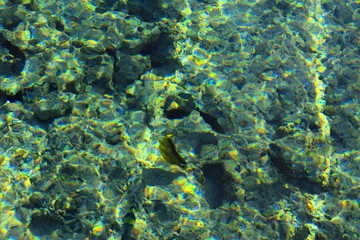 Naklejka na ściany i meble Multicolored beautiful red sea fish over the thickness of the water on a blurred background of coral reefs and yellow sand. Sharm el-Sheikh, Egypt.