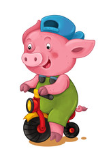 cartoon scene with pig riding on a bicycle - on white background - illustration for children