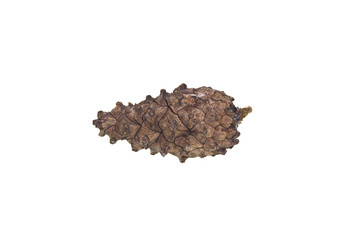 cone isolated on white background