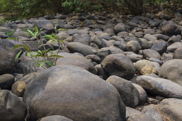 Summer with no water stone texture