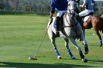 Horse polo player use a polo mallet hit a polo ball