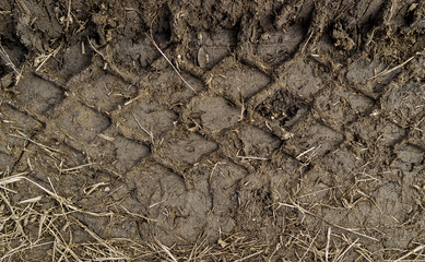Brown ground surface. Closeup natural background. Wet soil. Tire tracks. Dry yellow grass. Spring background