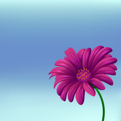 Flower background spring vector Illustration 