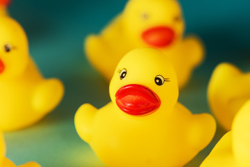Yellow rubber duck toys