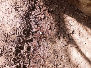 sunny muddy floor with foot prints surface outside path texture detail