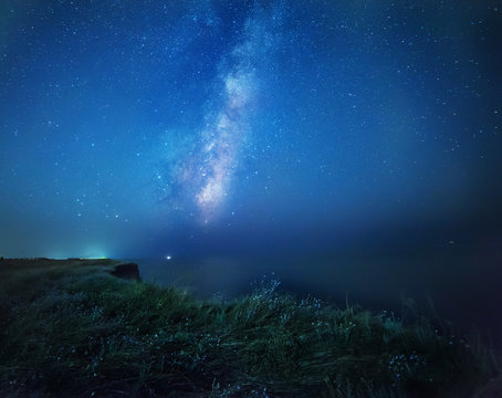 Night photo. The Milky Way and flowers are glowing under the light of the moon on the edge of the sea. Mysterious mysterious photo on the shore of the night sea.
