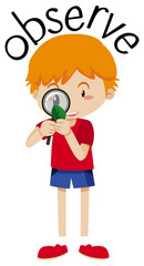 Wordcard for obserbe with boy looking at leaf