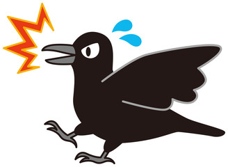 びっくり顔のカラス