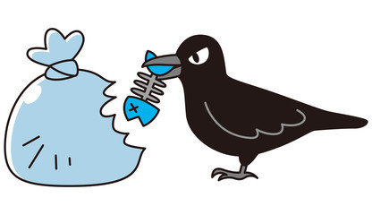 ゴミを荒らすカラス