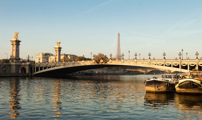 Fototapeta na wymiar The Bridge of Alexandre III bridge, Paris. France.