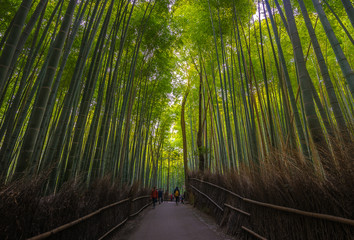 Arashiyama in Kyoto, Japan