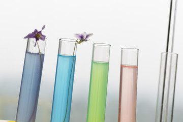 Biochemistry experiment scene