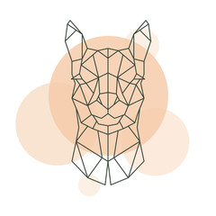 Geometric head of Alpaca. Wild animal. Vector illustration. © greens87