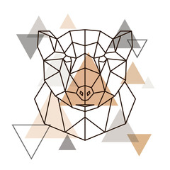 Abstract geometric head of grizzly. Wild animal. Vector illustration.
