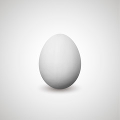 Vector realistic egg. Isolated