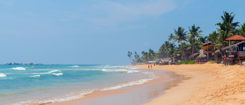 Palm trees on shore of Indian Ocean on beach in Hikkaduwa, Sri Lanka.