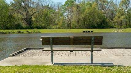 Obraz premium park bench