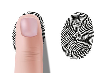 empreinte digitale - Empreinte - identité - empreinte de doigt - crime - identification  © pict rider